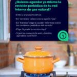 Carrusel revisión periódica de gas-05